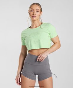 Gymshark Ireland J6J4BH503 Gymshark Women Legacy Crop Top Fresh Mint Green/Acid Wash