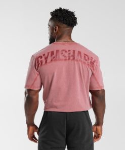 Gymshark Sale Ireland J6J4BH664 Gymshark Men Power Washed T-Shirt Sundried Red